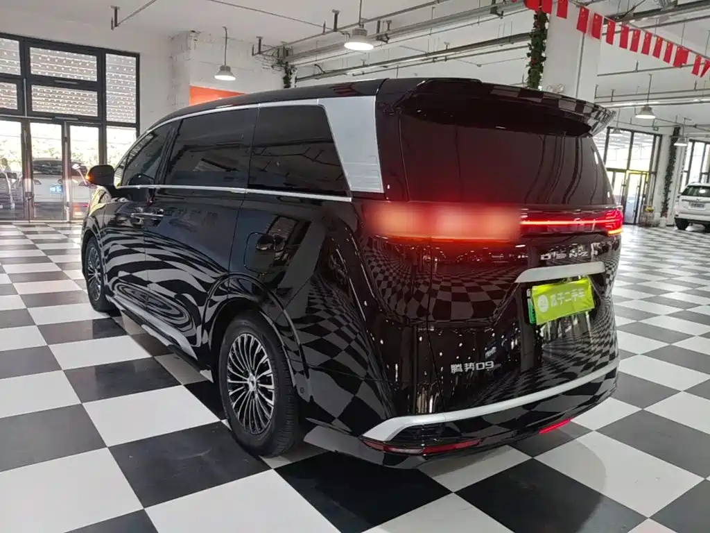 Denza Denza D9 — миниатюра 5