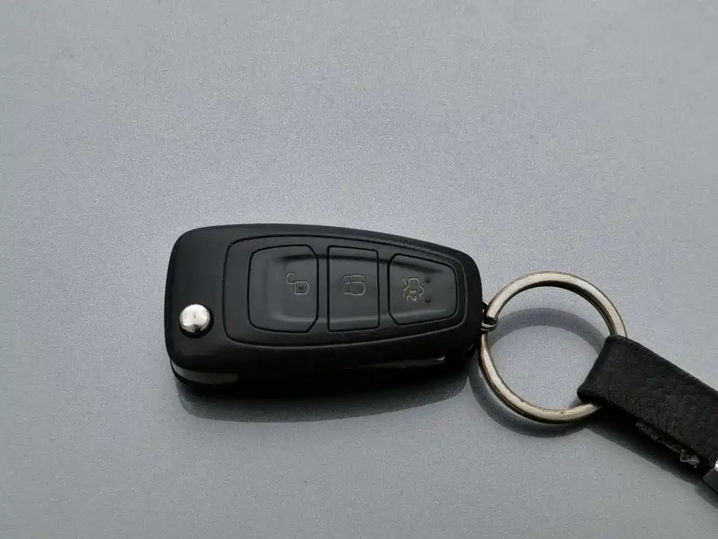 Ford Focus — миниатюра 19
