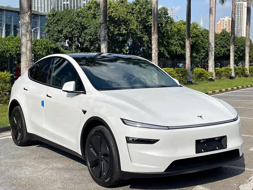Tesla Model Y — миниатюра 3