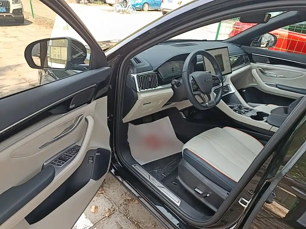 BYD PLUS New Energy — миниатюра 16