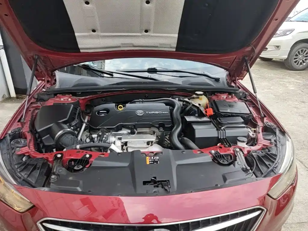Buick Regal — миниатюра 16