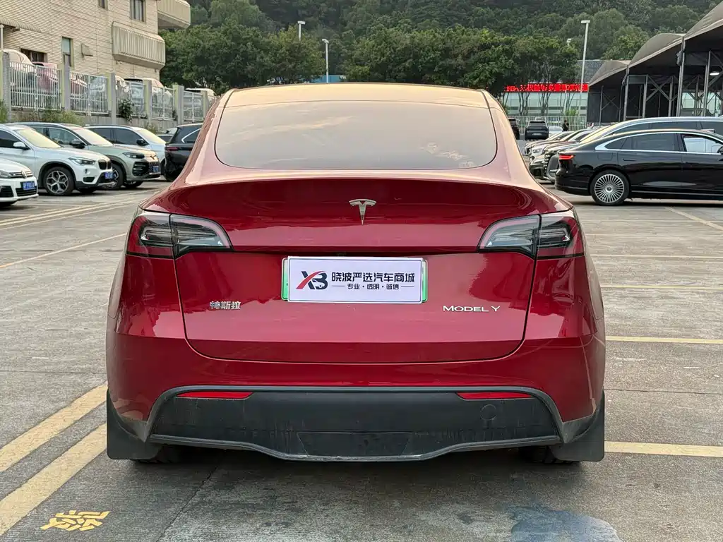 Tesla Model Y — миниатюра 18