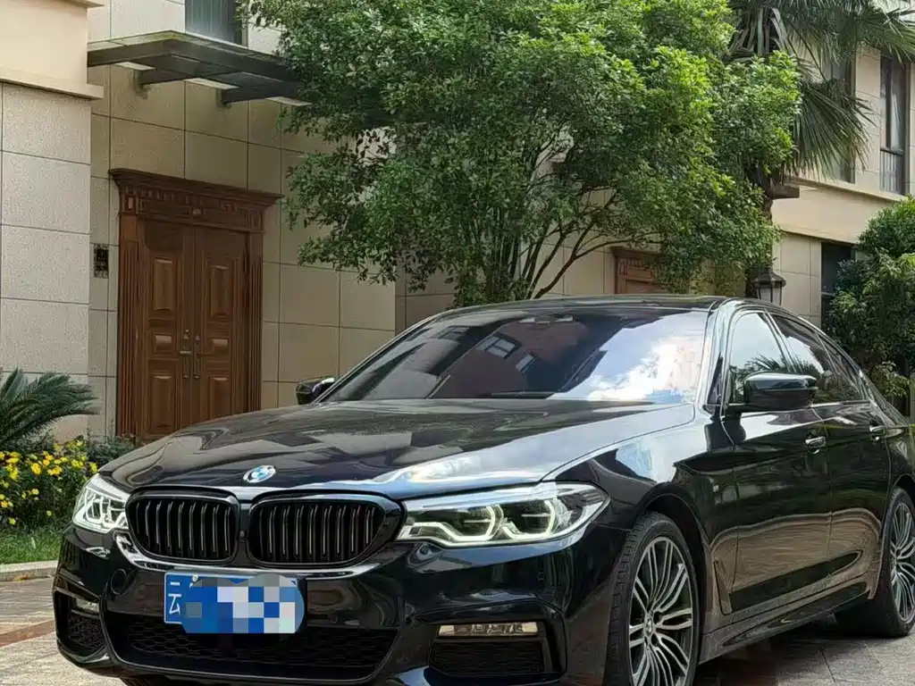 BMW 5 Series (Import) 2018
