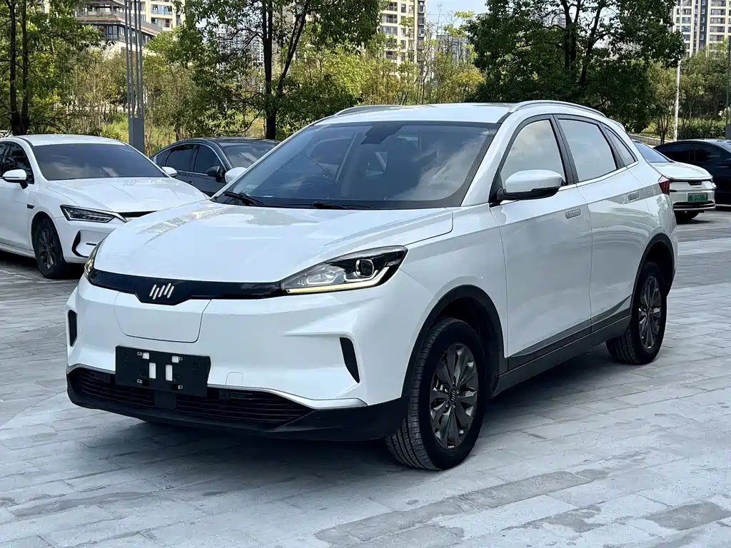 WM Motor EX5 — миниатюра 3