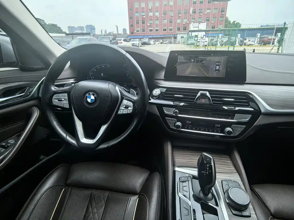 BMW 5 Series 5 2020 530Li Premium Luxury