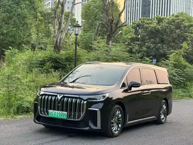 2022 Voyah Dream