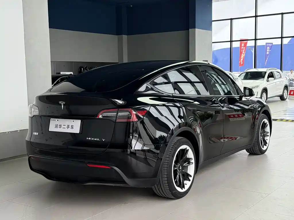 Tesla Model Y — миниатюра 5