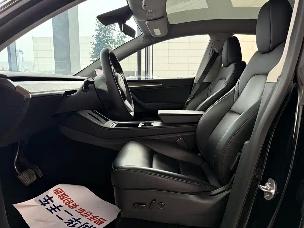 Tesla Model Y — миниатюра 6