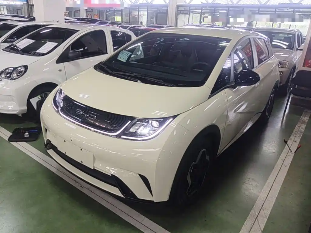 BYD Dolphin — миниатюра 2