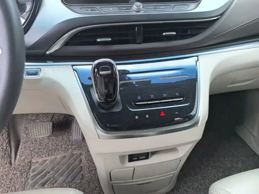 Buick GL8 — миниатюра 14