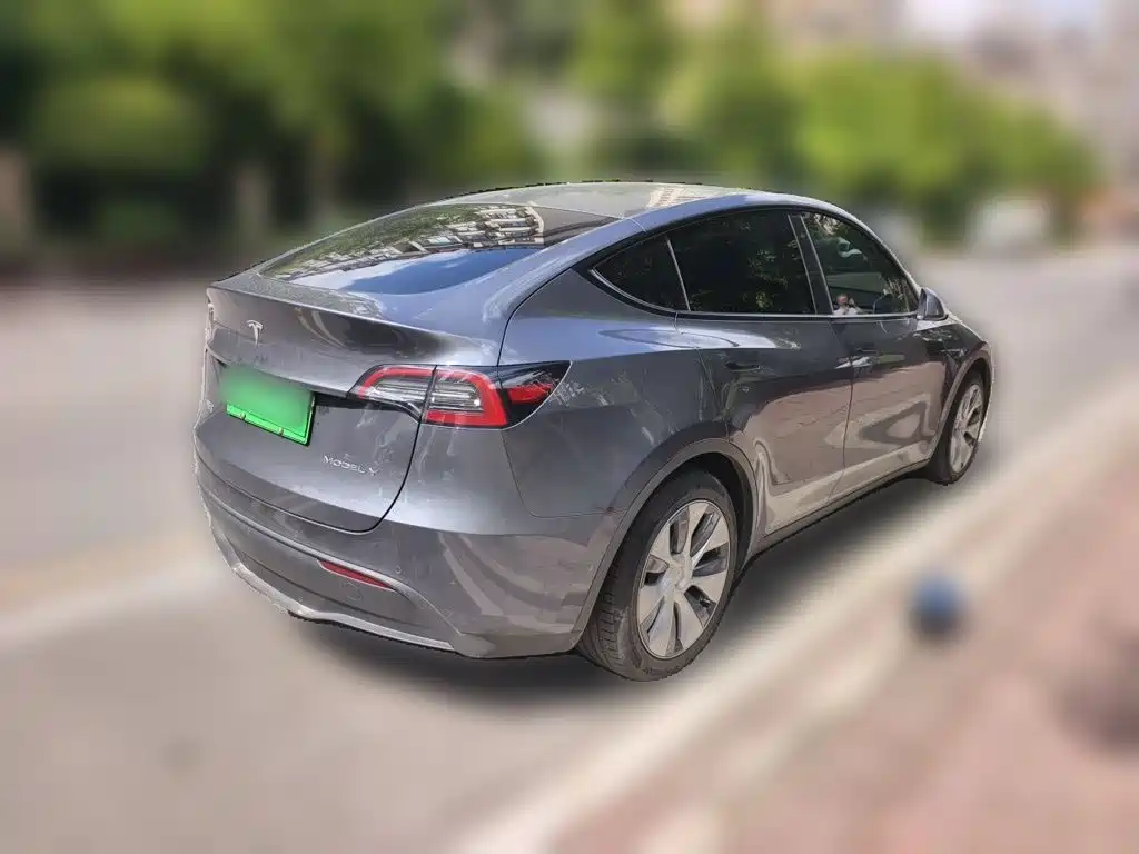 Tesla Model Y — миниатюра 4