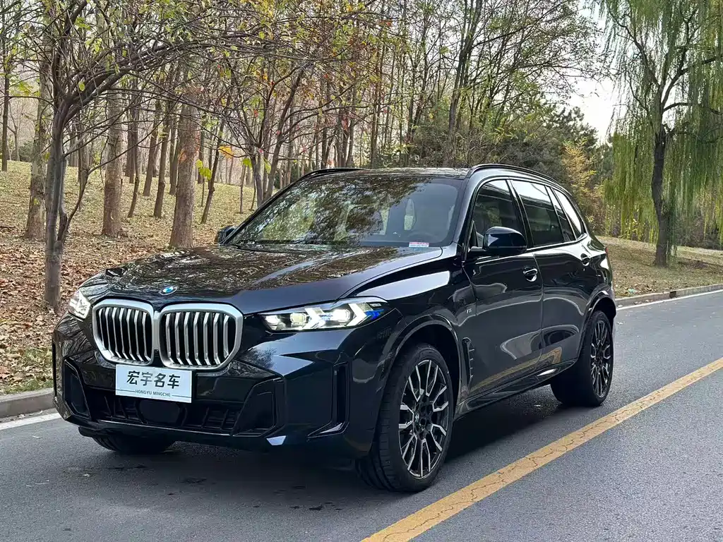 BMW X5 2025