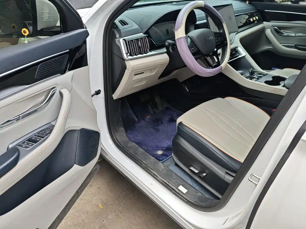 BYD PLUS New Energy — миниатюра 16