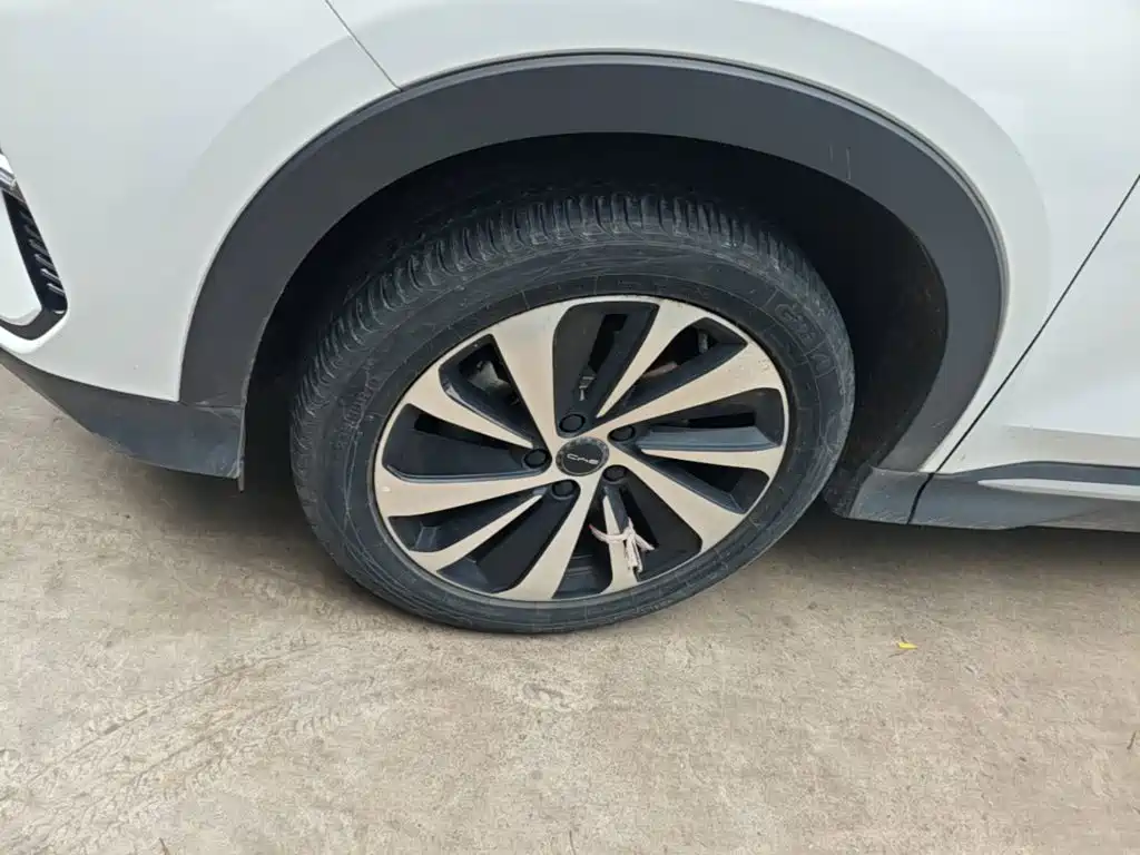 BYD PLUS New Energy — миниатюра 23