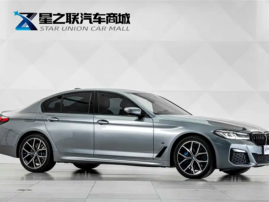 BMW 5 Series (Import) — миниатюра 5