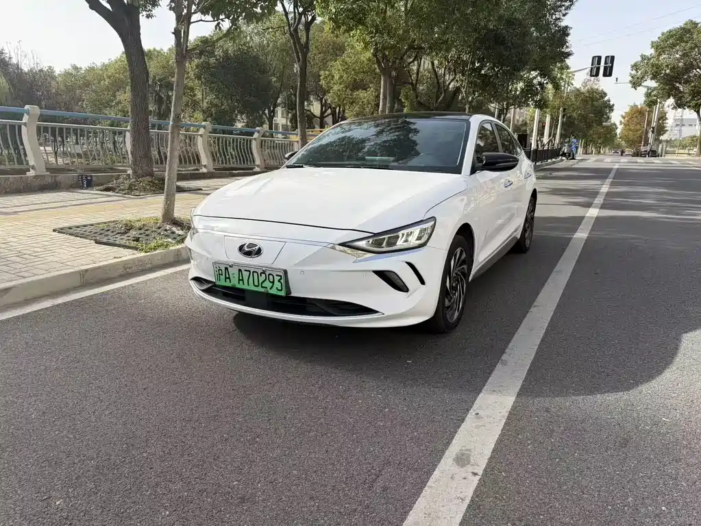 HYUNDAI FESTA PURE ELECTRIC