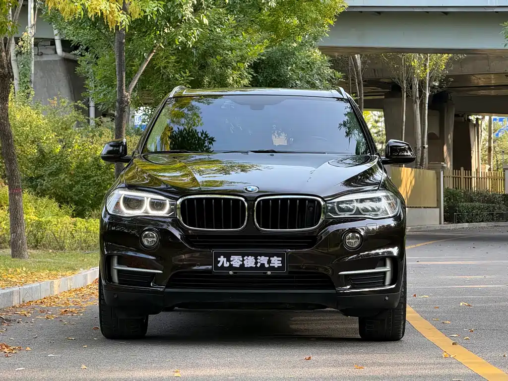 BMW X5 (Import) — миниатюра 2