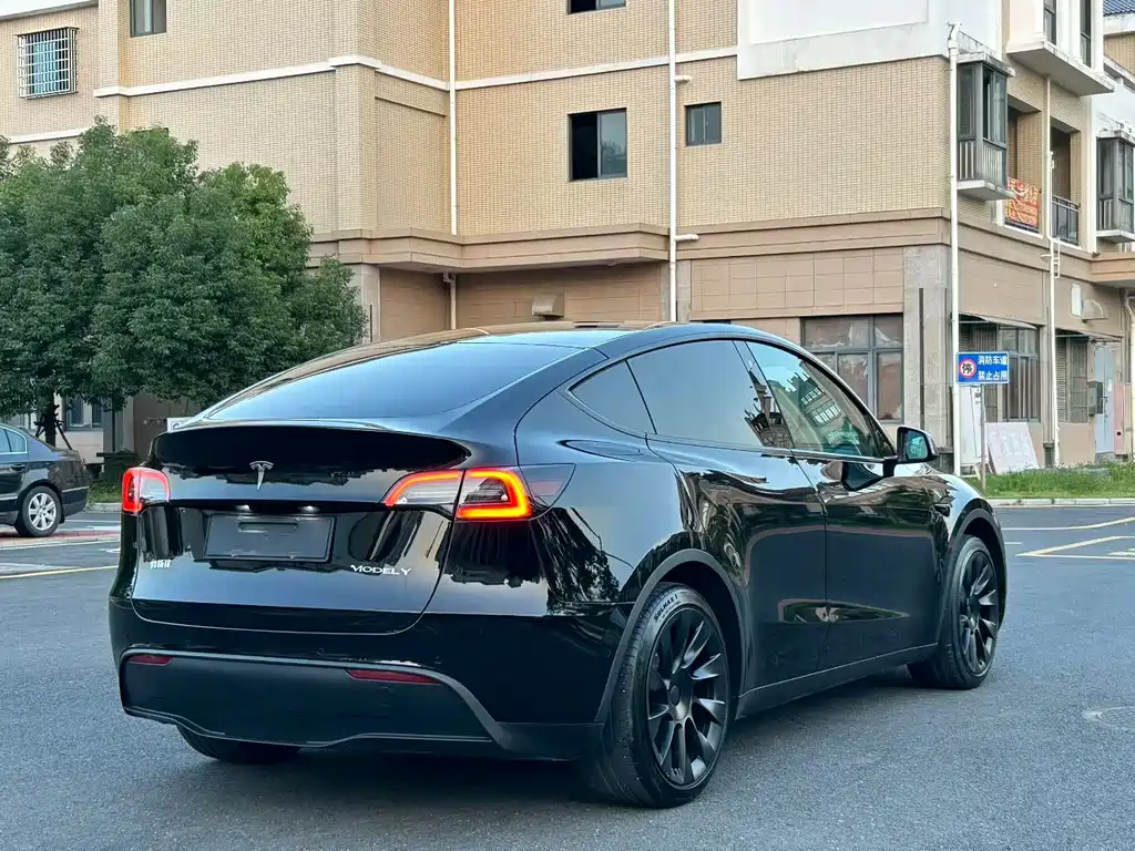 Tesla Model Y — миниатюра 6