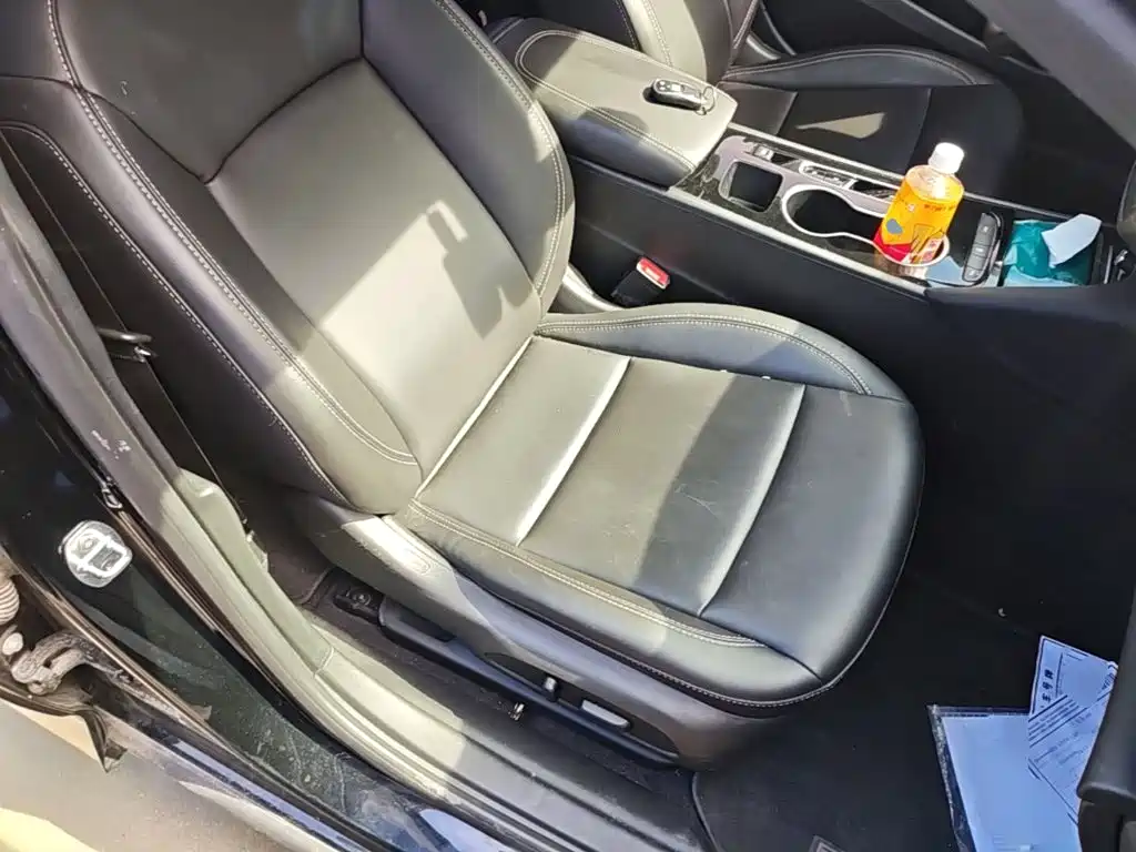 Buick Regal — миниатюра 25