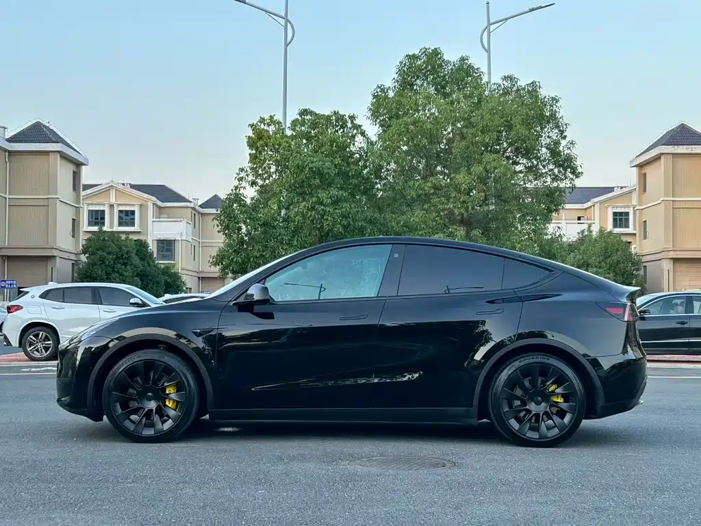 Tesla Model Y — миниатюра 5