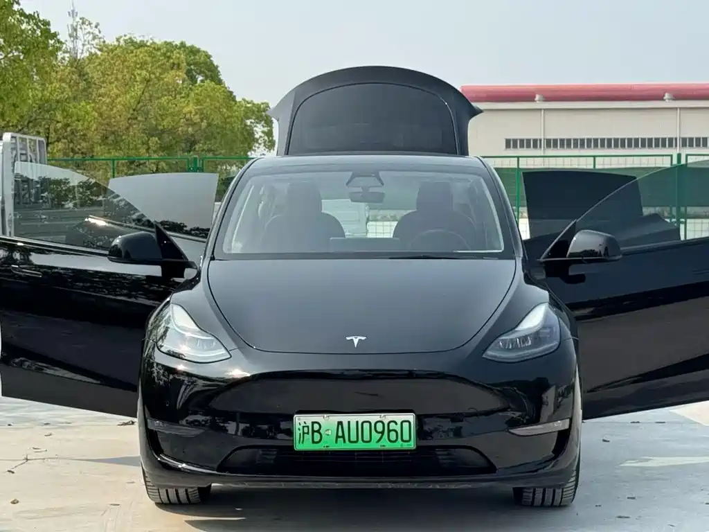 Tesla Model Y — миниатюра 9