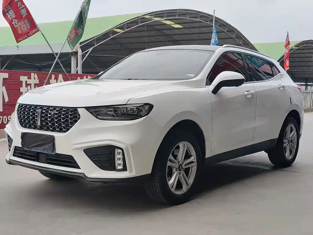 2020 Wey VV5 - zdjęcie 1 z 10