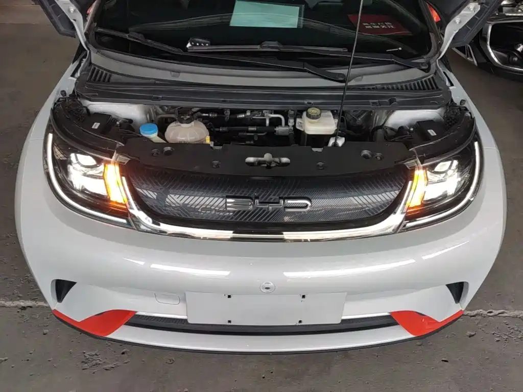BYD Dolphin — миниатюра 16