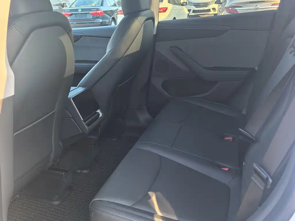 Tesla Model Y — миниатюра 6