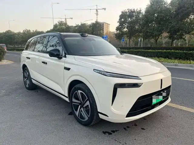 WEI PAI WEI BRAND BLUE MOUNTAIN 2025