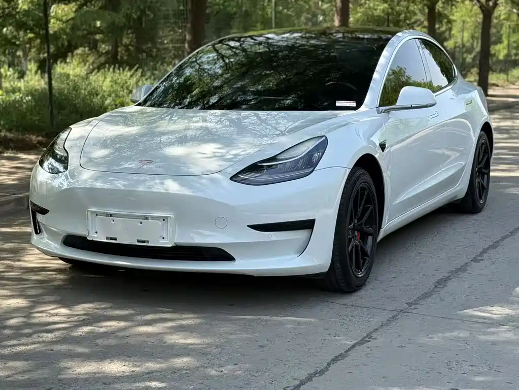 Tesla Model 3 2020