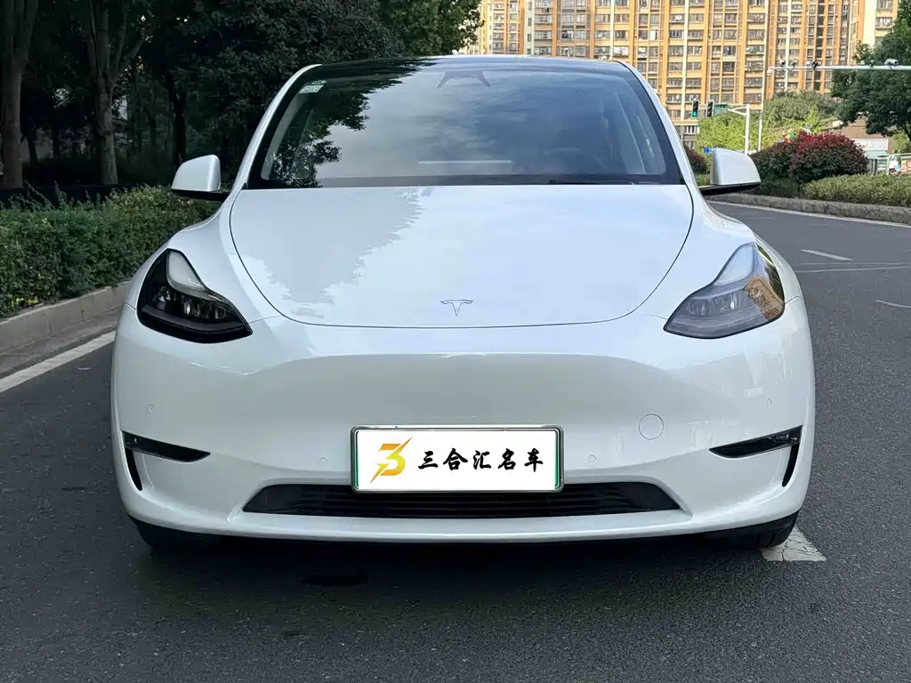 Tesla Model Y — миниатюра 2