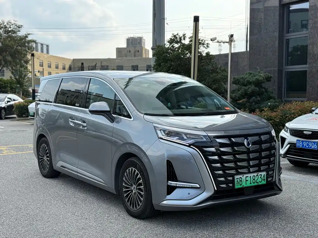Denza Denza D9 — миниатюра 3