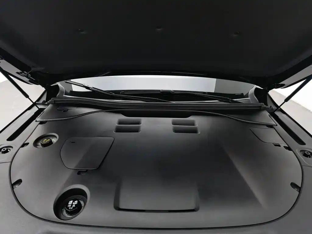 GAC Motor Trumpchi Xiangwang S9 — миниатюра 6