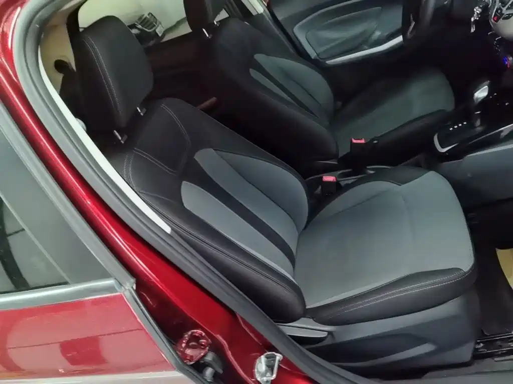 Ford Ecosport — миниатюра 25
