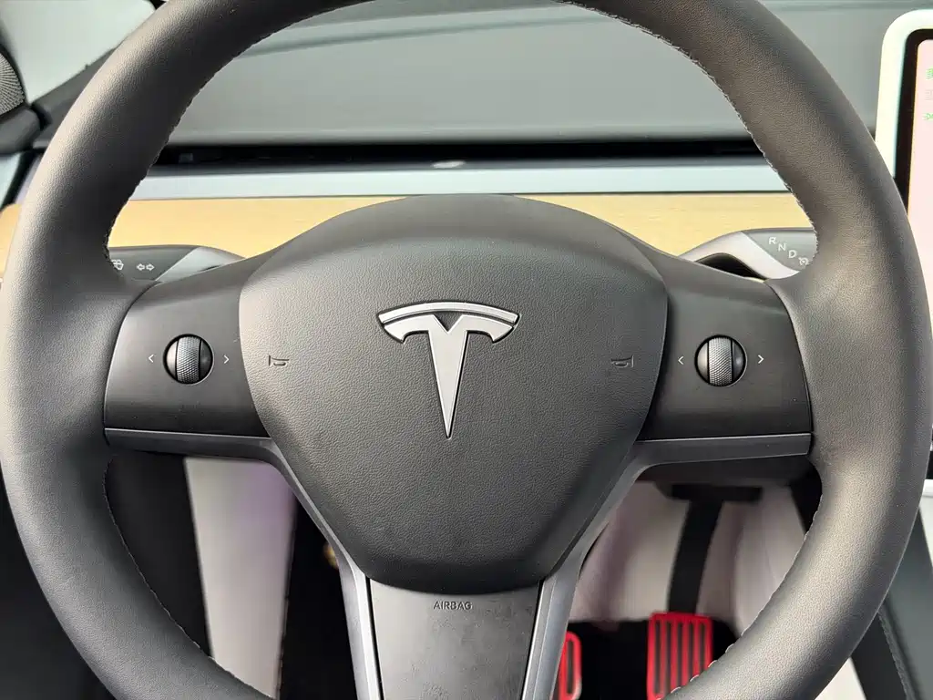 Tesla Model Y — миниатюра 10