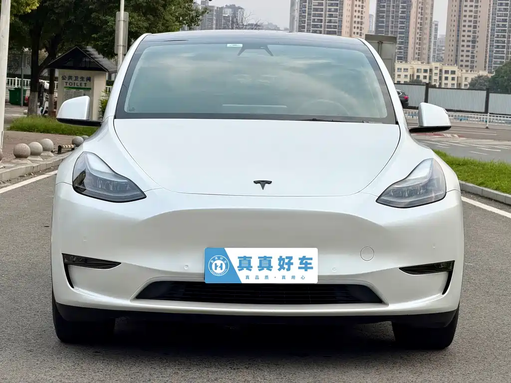 Tesla Model Y — миниатюра 2