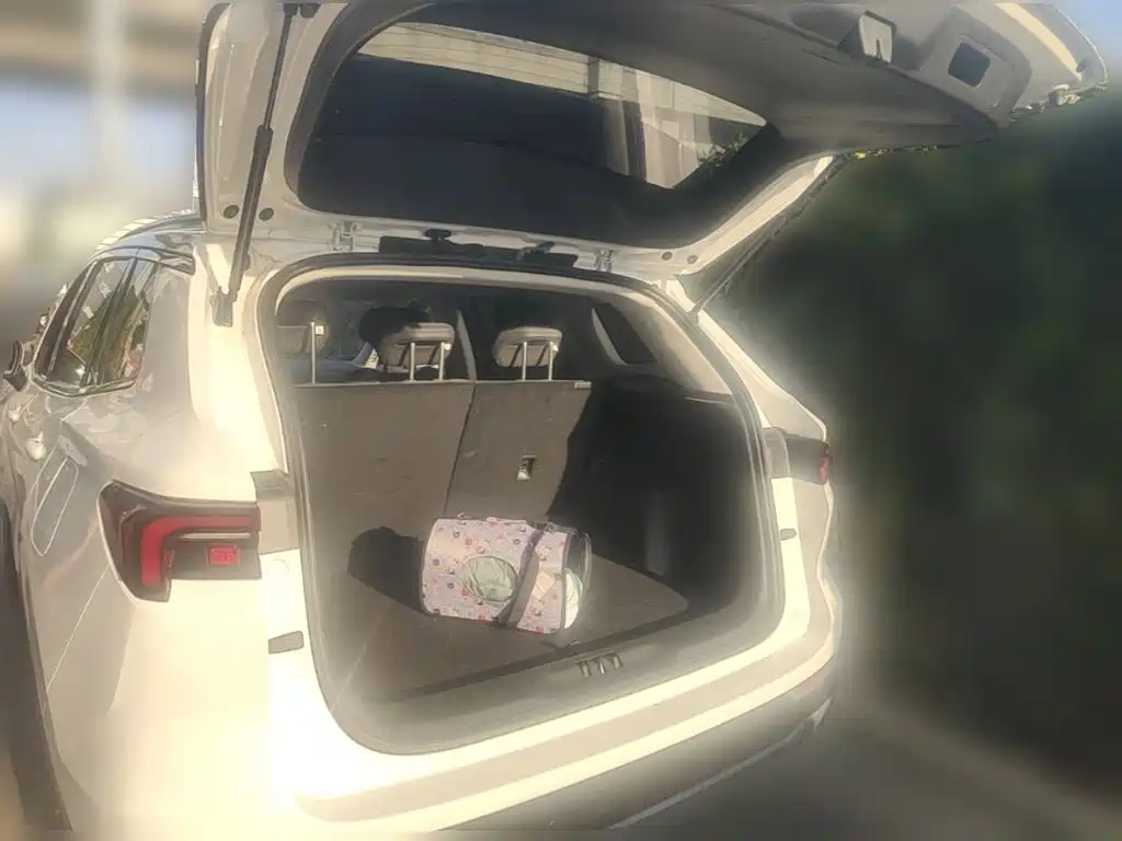 Ford Equator Sport — миниатюра 24