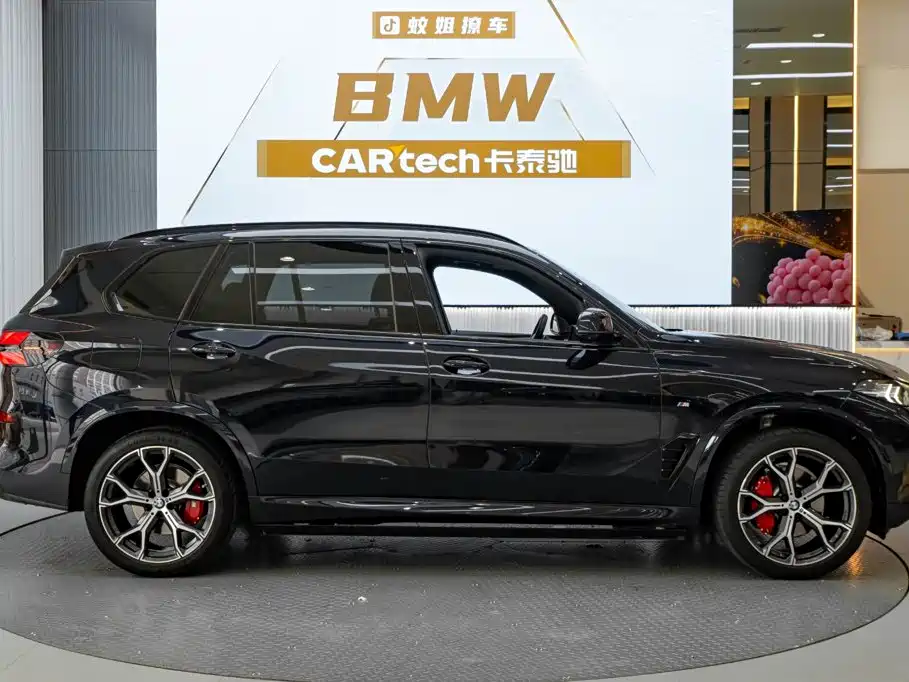 BMW X5 — миниатюра 6