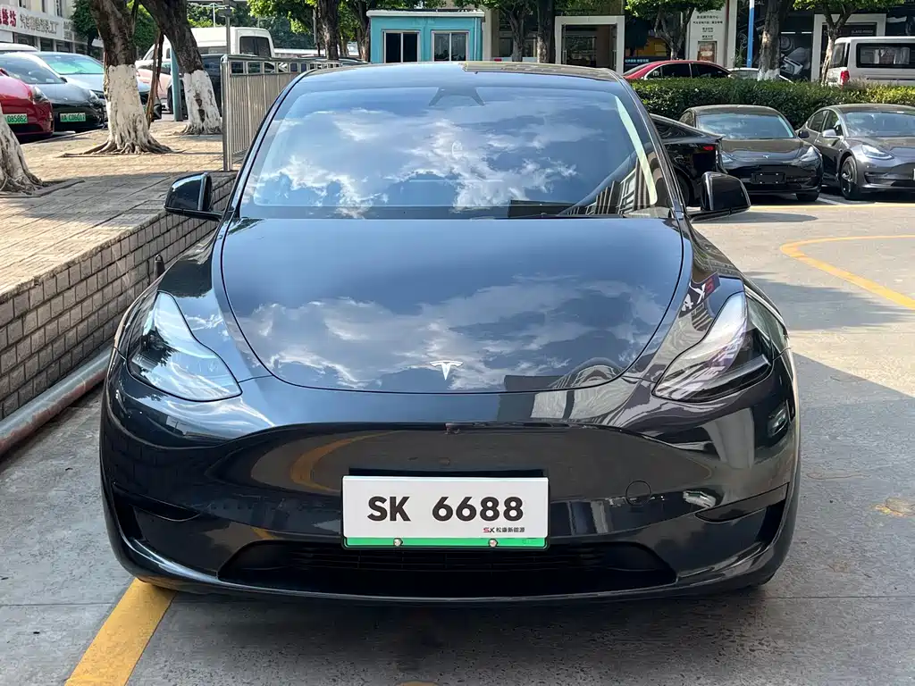 Tesla Model Y — миниатюра 2