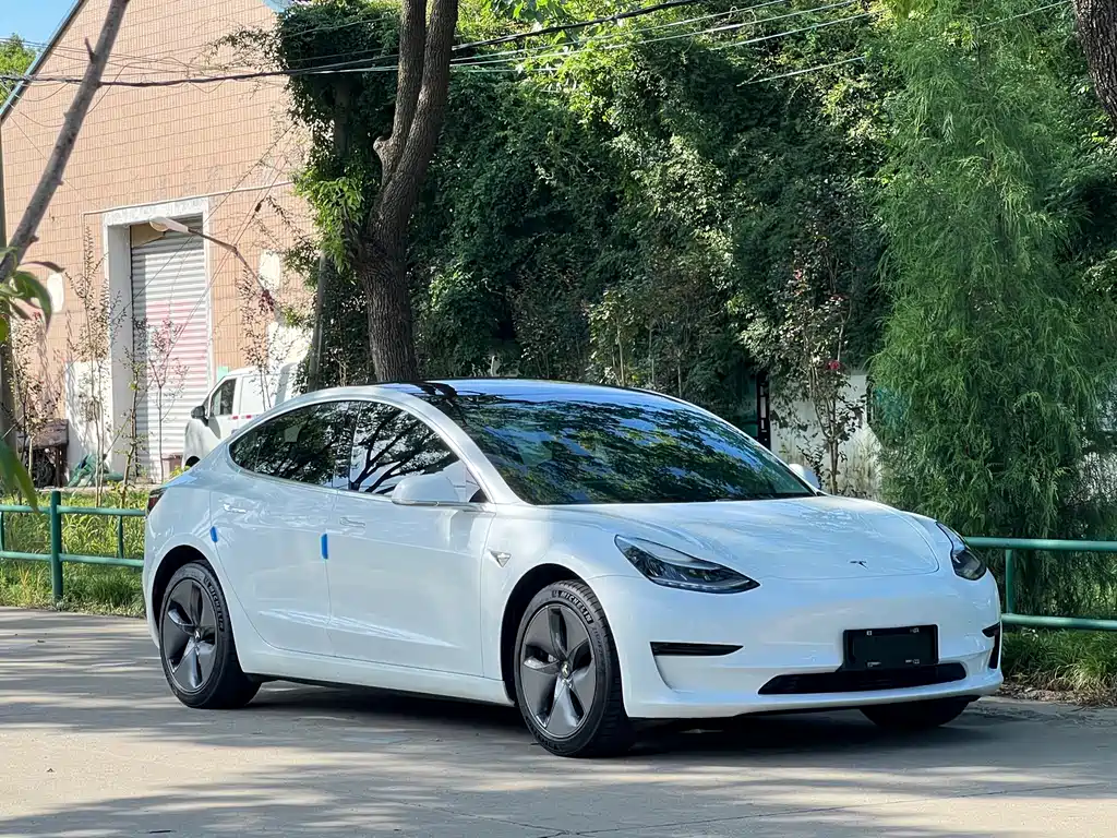 Tesla Model 3 — миниатюра 3