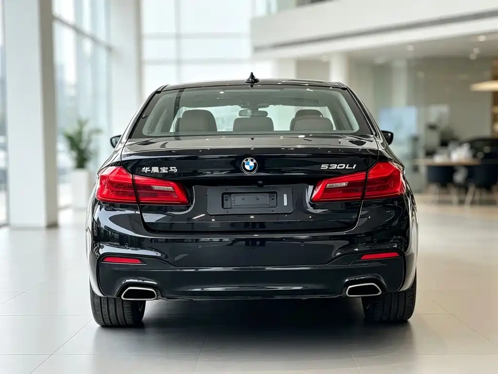 BMW 5 Series — миниатюра 4