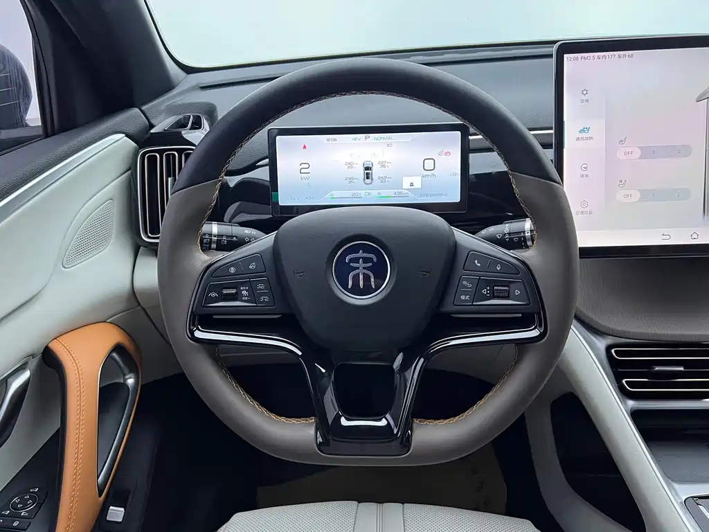 BYD Pro New Energy — миниатюра 19