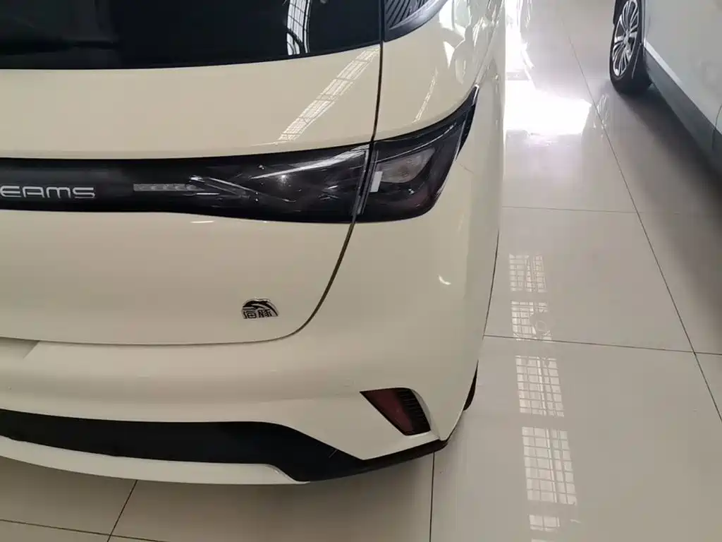 BYD Dolphin — миниатюра 8