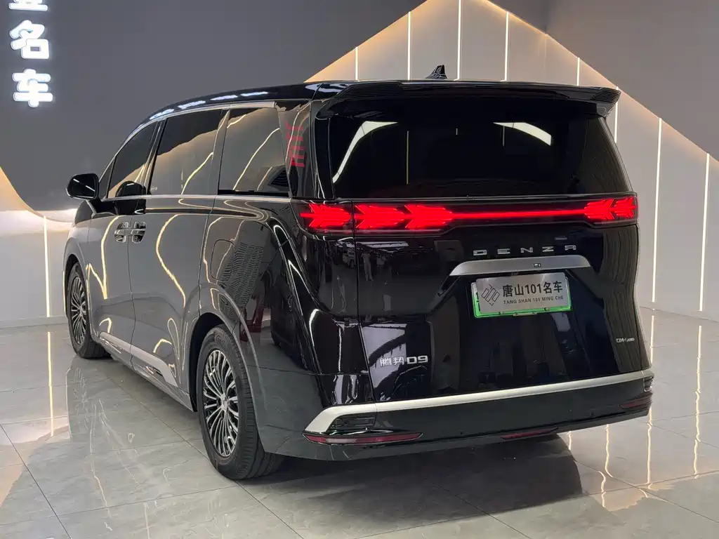 Denza Denza D9 — миниатюра 10