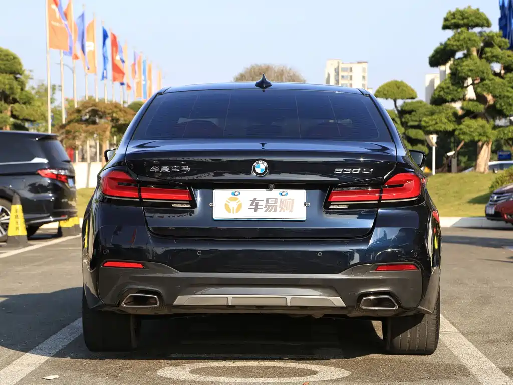 BMW 5 Series — миниатюра 31