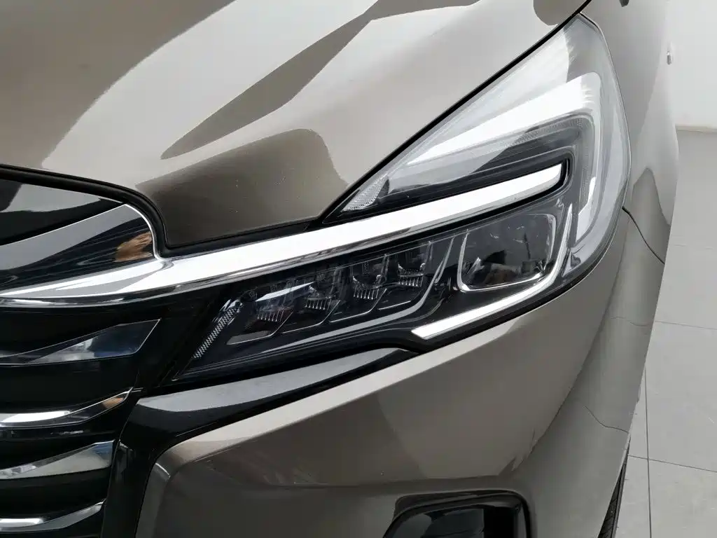 Buick GL8 — миниатюра 7