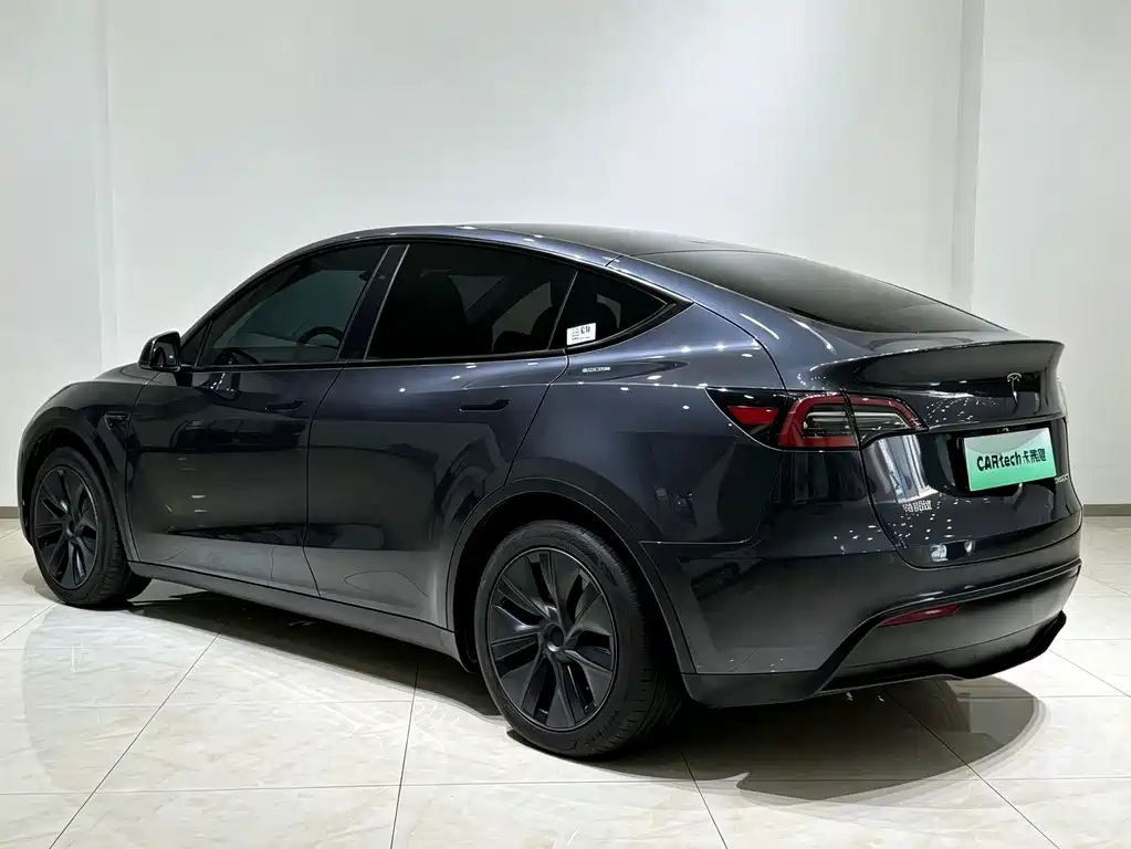 Tesla Model Y — миниатюра 18