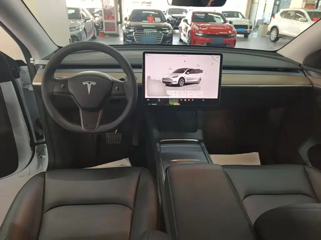 Tesla Model Y — миниатюра 10