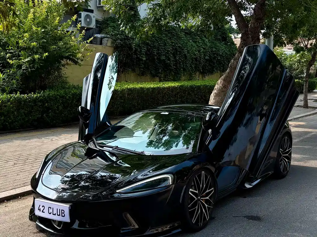 McLaren GT — миниатюра 2