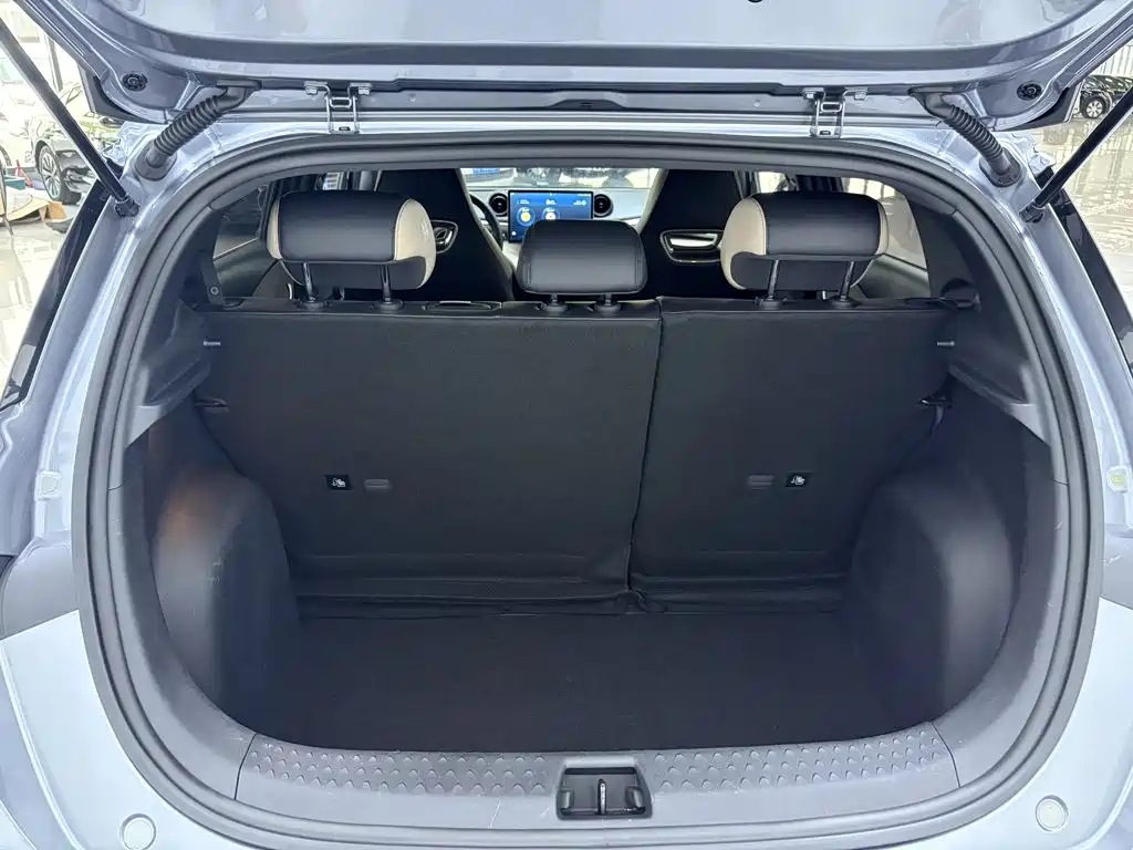 BYD Dolphin — миниатюра 15